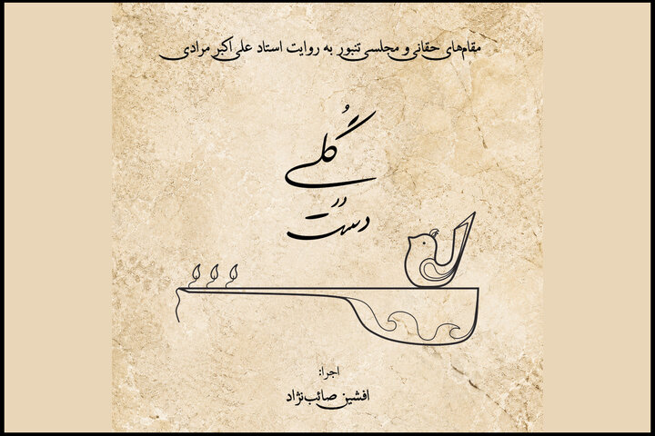 وی در کنار اجرا در گروه‌هایی مانند لاوچ و بانگ نوروز، ساخت تنبور را به‌صورت حرفه‌ای دنبال می‌کند. صائب‌نژاد در نت‌نویسی،